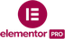 Elementor Pro